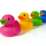 Ducks